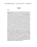 POLYPEPTIDES COMPRISING Fc FRAGMENTS OF IMMUNOGLOBULIN G (IgG) AND METHODS     OF USING THE SAME diagram and image