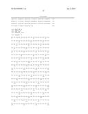 POLYPEPTIDES COMPRISING Fc FRAGMENTS OF IMMUNOGLOBULIN G (IgG) AND METHODS     OF USING THE SAME diagram and image