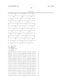 POLYPEPTIDES COMPRISING Fc FRAGMENTS OF IMMUNOGLOBULIN G (IgG) AND METHODS     OF USING THE SAME diagram and image