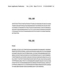 POLYPEPTIDES COMPRISING Fc FRAGMENTS OF IMMUNOGLOBULIN G (IgG) AND METHODS     OF USING THE SAME diagram and image