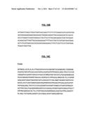 POLYPEPTIDES COMPRISING Fc FRAGMENTS OF IMMUNOGLOBULIN G (IgG) AND METHODS     OF USING THE SAME diagram and image