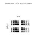 POLYPEPTIDES COMPRISING Fc FRAGMENTS OF IMMUNOGLOBULIN G (IgG) AND METHODS     OF USING THE SAME diagram and image