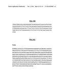 POLYPEPTIDES COMPRISING Fc FRAGMENTS OF IMMUNOGLOBULIN G (IgG) AND METHODS     OF USING THE SAME diagram and image