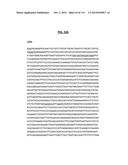 POLYPEPTIDES COMPRISING Fc FRAGMENTS OF IMMUNOGLOBULIN G (IgG) AND METHODS     OF USING THE SAME diagram and image