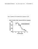 Fully Human Antibodies that Bind to VEGFR2 diagram and image