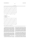 Fully Human Antibodies that Bind to VEGFR2 diagram and image