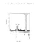 ANTI-NGF ANTIBODIES FOR THE TREATMENT OF VARIOUS DISORDERS diagram and image