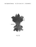 ANTI-NGF ANTIBODIES FOR THE TREATMENT OF VARIOUS DISORDERS diagram and image