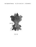 ANTI-NGF ANTIBODIES FOR THE TREATMENT OF VARIOUS DISORDERS diagram and image