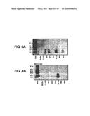 ANTI-NGF ANTIBODIES FOR THE TREATMENT OF VARIOUS DISORDERS diagram and image