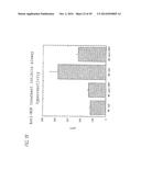 ANTI-NGF ANTIBODIES FOR THE TREATMENT OF VARIOUS DISORDERS diagram and image