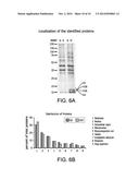 DIAGNOSIS AND TREATMENT OF COPD diagram and image