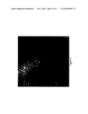 DISULFIDE-LINKED POLYETHYLENEGLYCOL/PEPTIDE CONJUGATES FOR THE     TRANSFECTION OF NUCLEIC ACIDS diagram and image