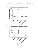 DISULFIDE-LINKED POLYETHYLENEGLYCOL/PEPTIDE CONJUGATES FOR THE     TRANSFECTION OF NUCLEIC ACIDS diagram and image