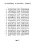 DISULFIDE-LINKED POLYETHYLENEGLYCOL/PEPTIDE CONJUGATES FOR THE     TRANSFECTION OF NUCLEIC ACIDS diagram and image