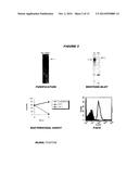 HETEROLOGOUS EXPRESSION OF NEISSERIAL PROTEINS diagram and image