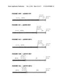 HETEROLOGOUS EXPRESSION OF NEISSERIAL PROTEINS diagram and image