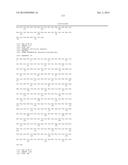 HETEROLOGOUS EXPRESSION OF NEISSERIAL PROTEINS diagram and image