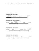 HETEROLOGOUS EXPRESSION OF NEISSERIAL PROTEINS diagram and image