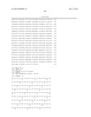 HETEROLOGOUS EXPRESSION OF NEISSERIAL PROTEINS diagram and image