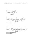 Expression of Protective Antigens in Transgenic Chloroplasts and the     Production of Improved Vaccines diagram and image