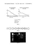 Expression of Protective Antigens in Transgenic Chloroplasts and the     Production of Improved Vaccines diagram and image