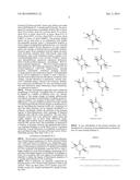 AMORPHOUS POLY(D,L-LACTIDE) COATING diagram and image