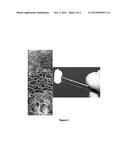 BIODEGRADABLE BONE FILLERS, MEMBRANES AND SCAFFOLDS CONTAINING COMPOSITE     PARTICLES diagram and image
