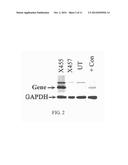 TREATMENT FOR EXPOSURE TO NERVE AGENT diagram and image