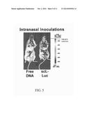 TREATMENT FOR EXPOSURE TO NERVE AGENT diagram and image