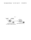 COMPOSITION FOR DELIVERY OF ANGIOGENESIS INDUCING MOLECULE AND ARTIFICIAL     TISSUE PREPARED BY THE COMPOSITION diagram and image