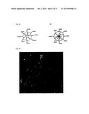 NANOPARTICLE COMPOSITIONS FOR GENERATION OF REGULATORY T CELLS AND     TREATMENT OF AUTOIMMUNE DISEASES AND OTHER CHRONIC INFLAMMATORY     CONDITIONS diagram and image