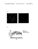 NANOPARTICLE COMPOSITIONS FOR GENERATION OF REGULATORY T CELLS AND     TREATMENT OF AUTOIMMUNE DISEASES AND OTHER CHRONIC INFLAMMATORY     CONDITIONS diagram and image