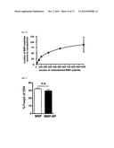 NANOPARTICLE COMPOSITIONS FOR GENERATION OF REGULATORY T CELLS AND     TREATMENT OF AUTOIMMUNE DISEASES AND OTHER CHRONIC INFLAMMATORY     CONDITIONS diagram and image