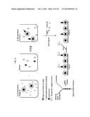 ENZYME QUANTIFICATION diagram and image