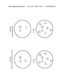 ENZYME QUANTIFICATION diagram and image