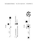 ENZYME QUANTIFICATION diagram and image