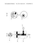 ENZYME QUANTIFICATION diagram and image