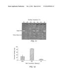 Isolation and Enrichment of Nucleic Acids on Microchip diagram and image