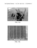 Isolation and Enrichment of Nucleic Acids on Microchip diagram and image