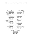 Isolation and Enrichment of Nucleic Acids on Microchip diagram and image