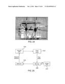 Isolation and Enrichment of Nucleic Acids on Microchip diagram and image