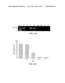 Isolation and Enrichment of Nucleic Acids on Microchip diagram and image