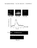 Isolation and Enrichment of Nucleic Acids on Microchip diagram and image