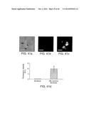 Isolation and Enrichment of Nucleic Acids on Microchip diagram and image