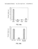 Isolation and Enrichment of Nucleic Acids on Microchip diagram and image