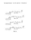 Isolation and Enrichment of Nucleic Acids on Microchip diagram and image