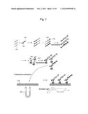 METHOD FOR ANALYZING BIOMOLECULES AND BIOMOLECULE ANALYZER diagram and image