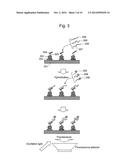 METHOD FOR ANALYZING BIOMOLECULES AND BIOMOLECULE ANALYZER diagram and image