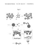 METHOD FOR ANALYZING BIOMOLECULES AND BIOMOLECULE ANALYZER diagram and image